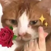 **zhhh123