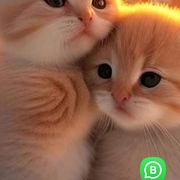 **nleng12