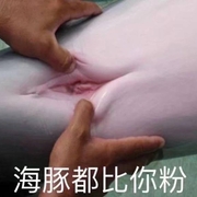 **52793677@qq.com