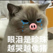 **54128006